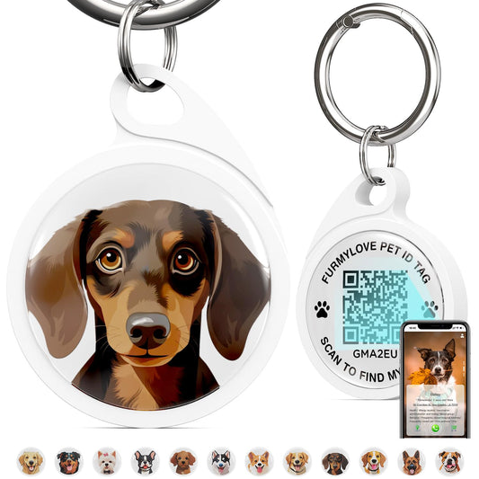 Personalized QR Code Pet ID Tag.